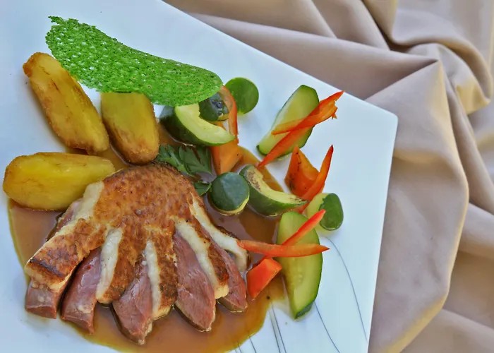 Mercure L'occitan Hotel Castres (Tarn)